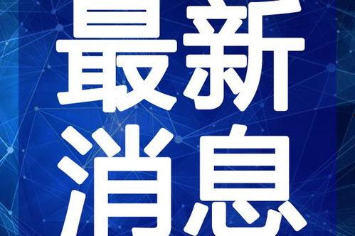 赵阿姨最新爆料消息视频,揭秘视频背后的惊人真相!